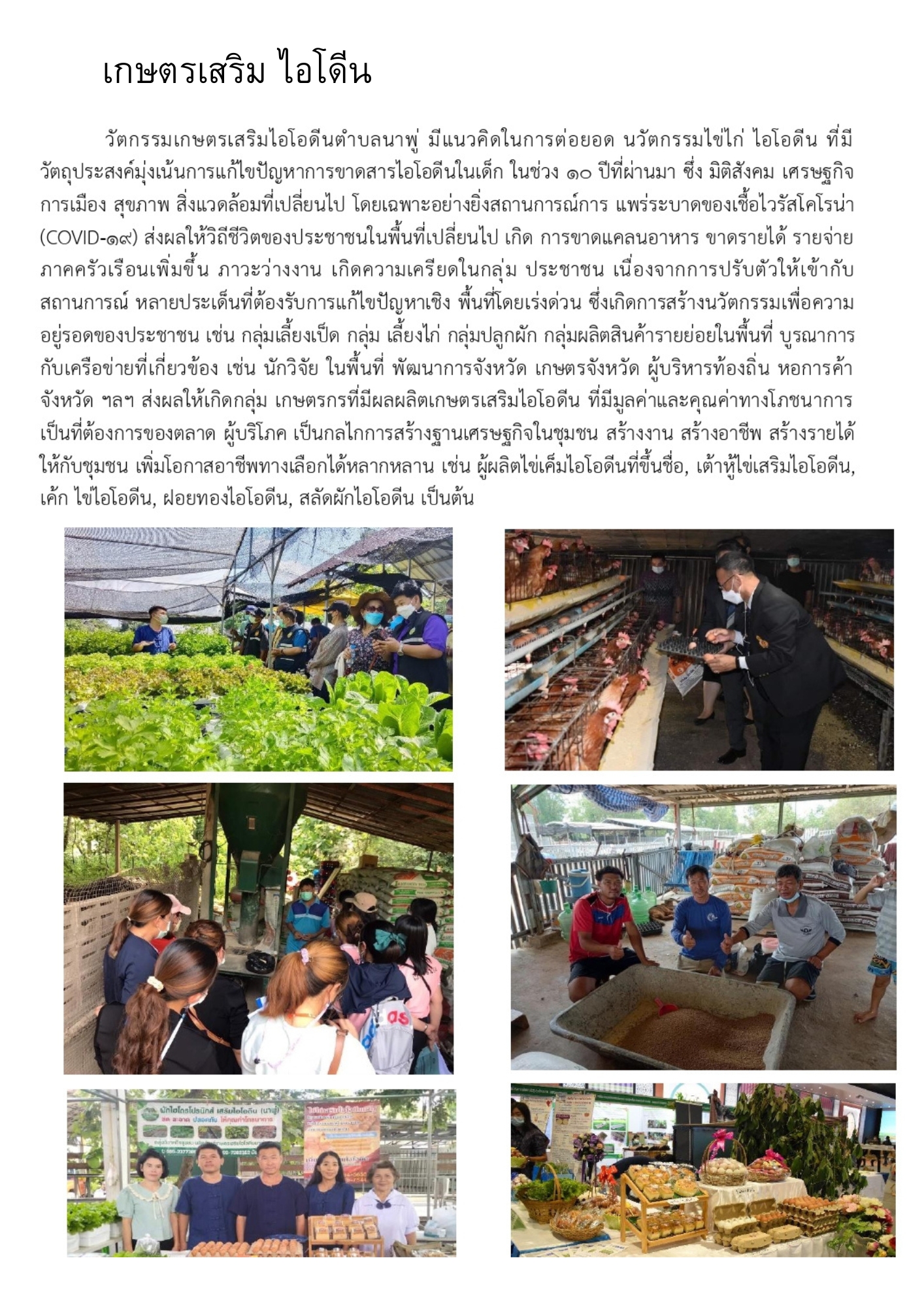 products in the district 1