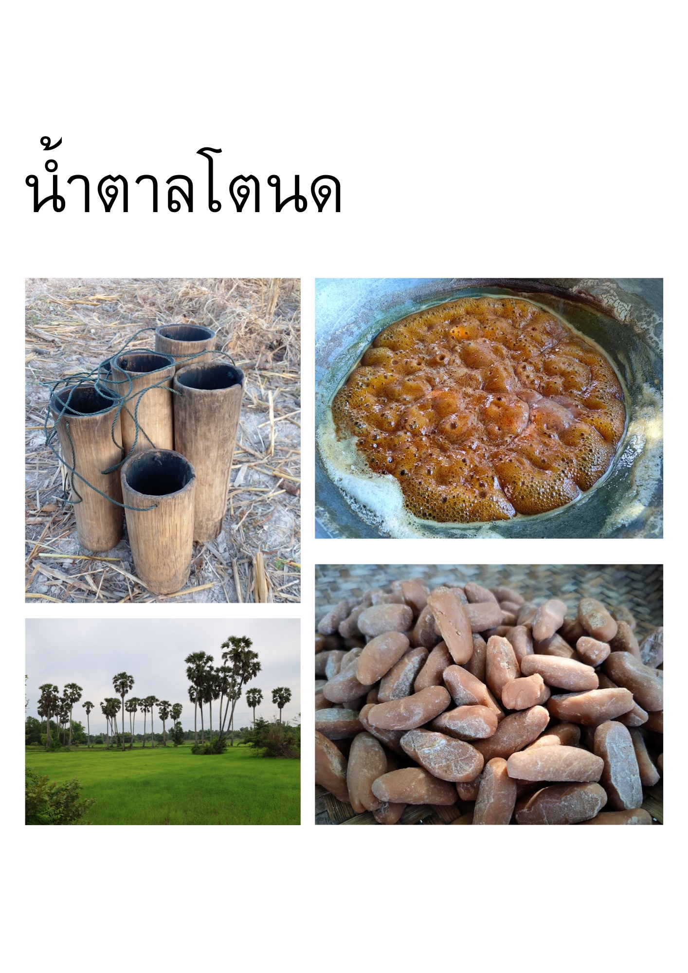 products in the district 1